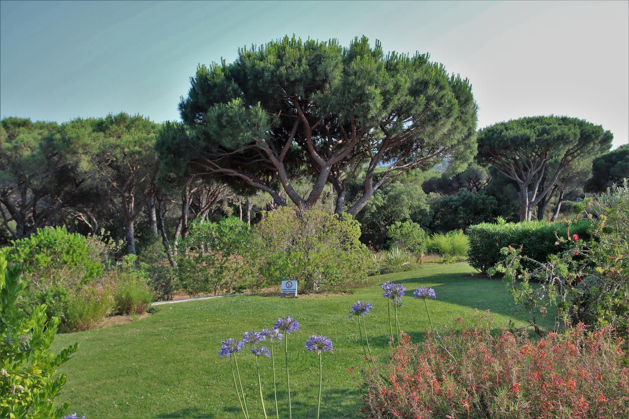 Appartement Les Pins Bleus A8 Sainte-Maxime Exterior foto